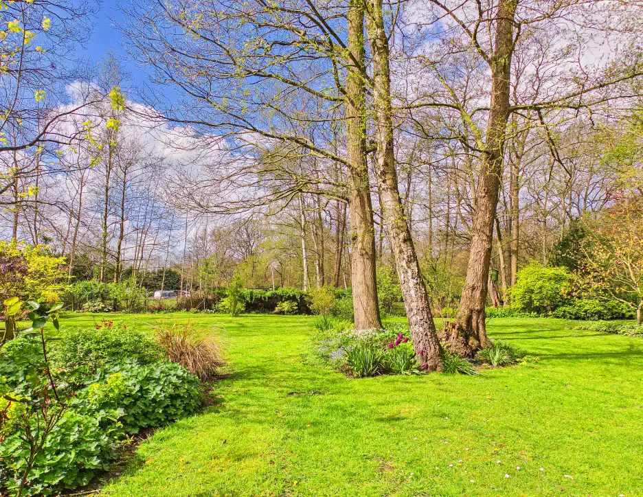 Old Wood, Skellingthorpe, LN6